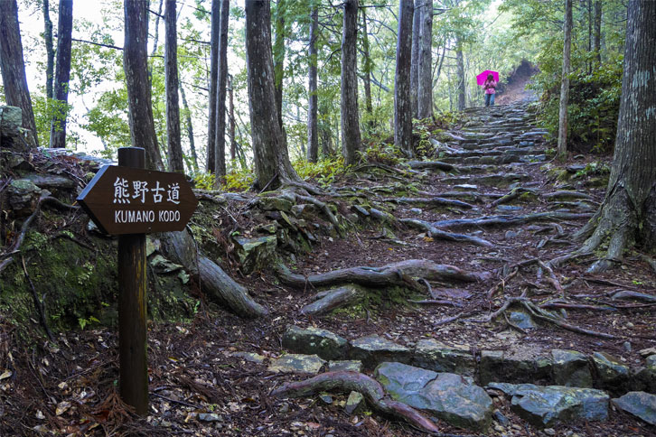 熊野古道